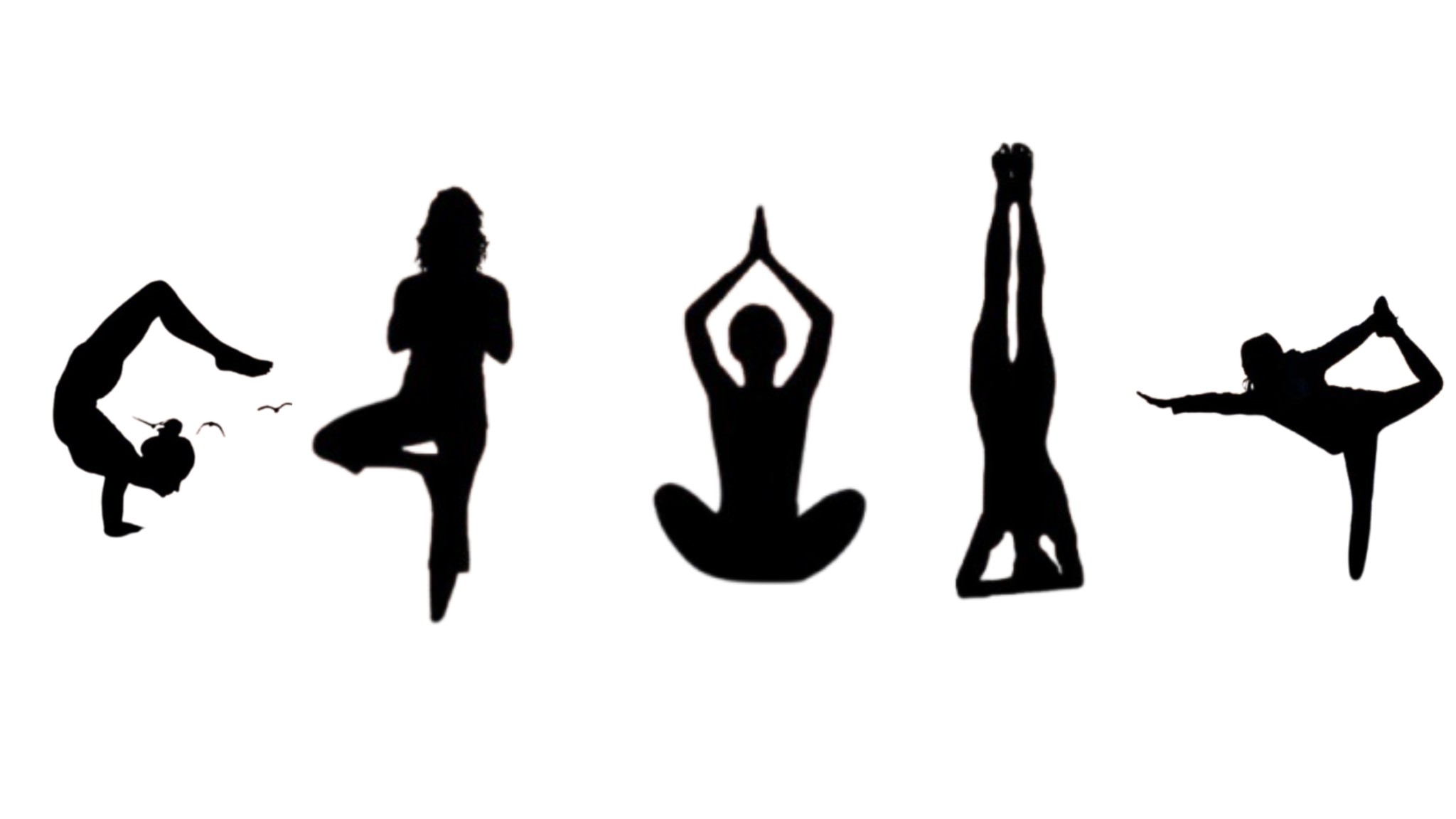 Yoga Asanas: A Timeless Dialogue Between Body and Soul