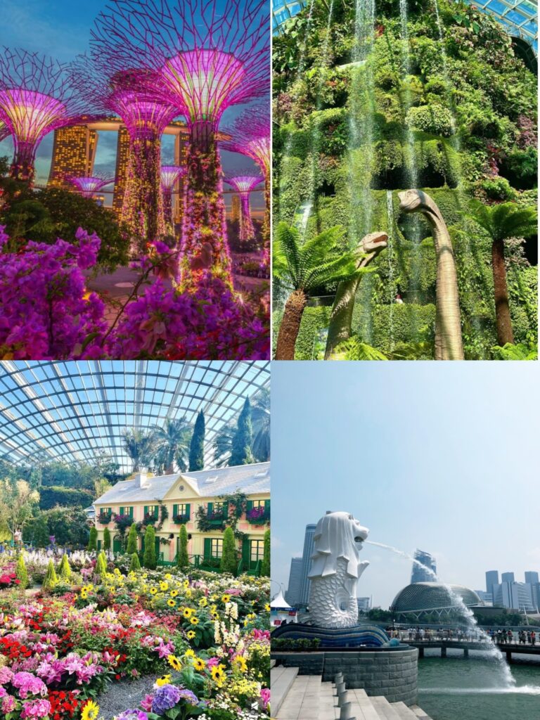 新加坡滨海湾花园超级树灯光秀夜景（2025 新加坡必去景点）