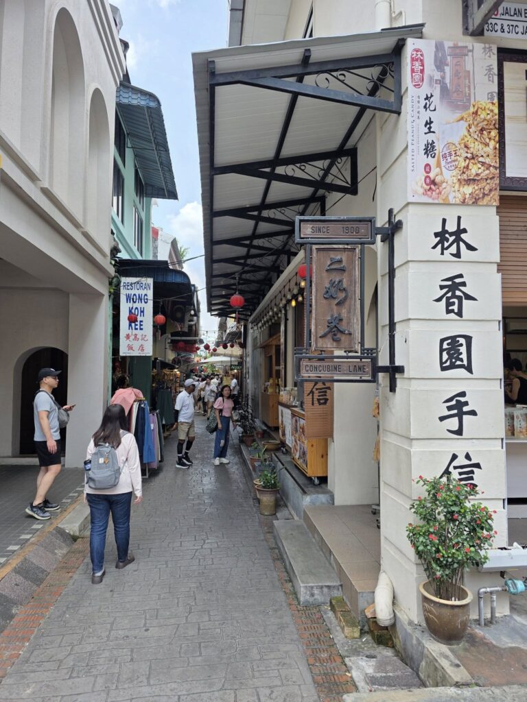 怡保二奶巷 Concubine Lane 怀旧老街建筑与人潮，怡保自由行热门拍照打卡景点