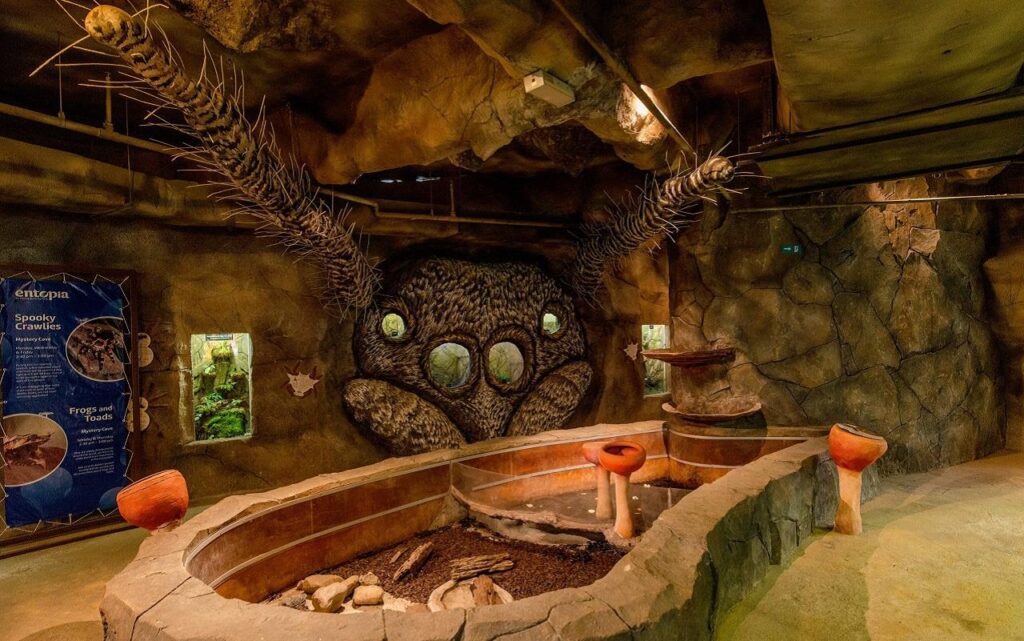 f04708af04bbc66c075893562d094052