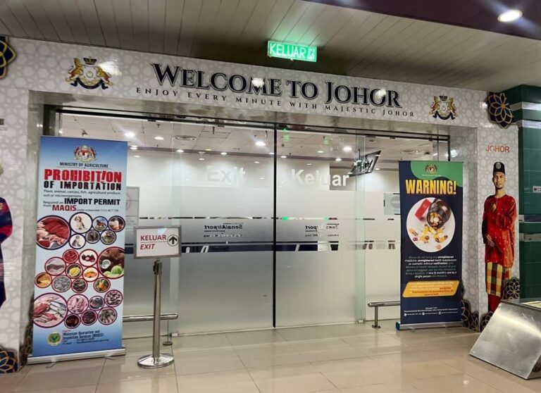 557001137 10223310281665292 7490640783945187549 n