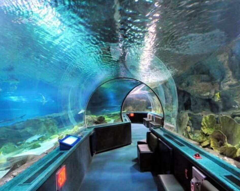 564169627 10223394632894020 8401806548801183082 n e1760690280181