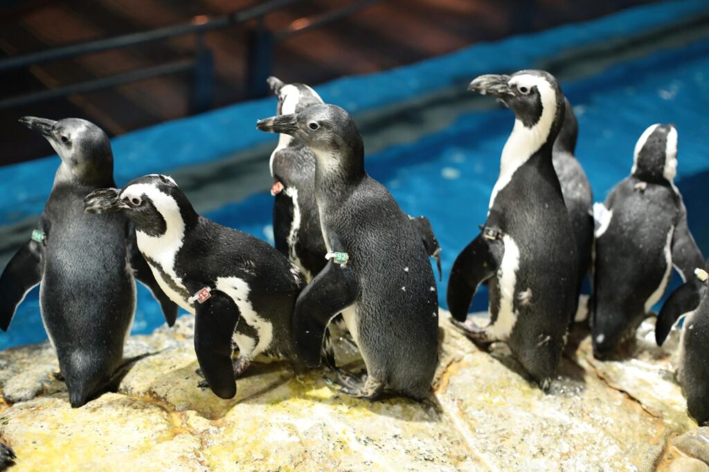 bf0869a96e1f6462dfcb72dc12d2b9c3